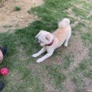 푼타하우스