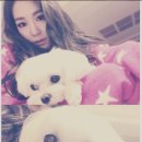 티파니펫 이미지