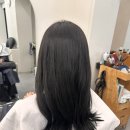 시네자 천연염색스튜디오 | 청담뮤아이: 퍼스널컬러염색 |퍼스널 웨딩 염색 |퍼스널헤어시술|청담동미용실추천