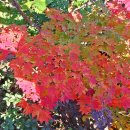 천마산역 이미지