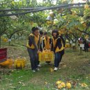 성제농장 이미지