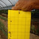 담수농장 이미지