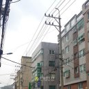 강서로47길 Daum카페