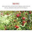 채다움