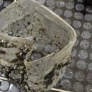 도봉-도봉-서울도봉-2212 이미지