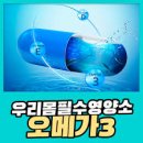 오메가3 효능