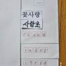 사랑초 구근들 발송 이미지