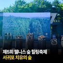제5회 웰니스 숲 힐링축제 숲과 숨 '한개의 별을 노래하자' 참여후기