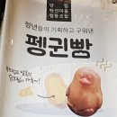 양림펭귄마을 협동조합 이미지