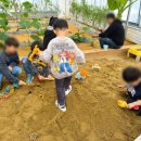 모래틈농장 이미지