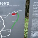 제주도 - 한라산 (어리목 ~ 영실 구간) 이미지