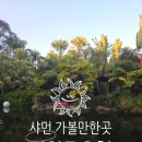 11650-1-10-698 | 중국 샤먼 일월곡온천日月谷温泉 식사까지 하고 온 추천 후기 (고덕지도 주소 포함)