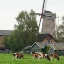 (주)로얄트레이딩 이미지