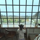 삼삼오오목장 이미지