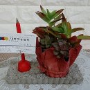 세라믹아트 이미지