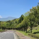 백통신원리조트 기린 이미지