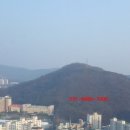 군포아이티밸리부동산중개법인 이미지