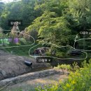 곤지암야영장 명당 총정리! 다람쥐7 사이트 후기 (역대급 벌레 대비책 &amp; 명당 추천)