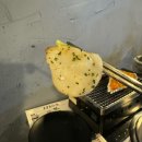 오군포차 아산점