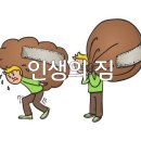 11월 초하루 출석부입니다 이미지