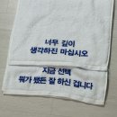 페르소나 PT | 25년 하반기 | 약 네달 간의 취준 결산 후기