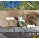 고삼초교병설유치원 이미지