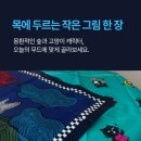 퀸헤어센스 - 무안군 | 퀸헤어센스