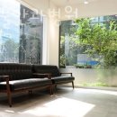 유림동물안과병원 이미지