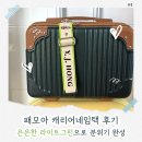 가나그린 | 캐리어랑 골프백 둘 다 잘 어울리는 패모아 라이트그린 네임택 후기