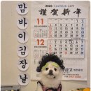 부산애견호텔 강아지 유치원 맘바이 서면본점 이미지