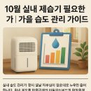 (유)진해교통 | 서울 단풍 명소 BEST｜2024 가을 추천 코스