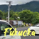 코끼리카써비스 | 후쿠오카 고고 렌트카 일본 렌터카 여행 유후인 사파리 까지