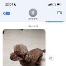 헬띠바이오 이미지