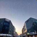조이풀 | 구리 식물가게 조이풀 후기｜호접란 선물, 만세 선인장, 봄날 매장 이야기