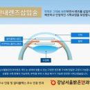 밝은눈안과의원 이미지