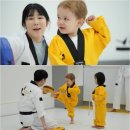 젠 이미지