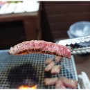 씨송펜션 | 안면도 펜션 :: 씨송펜션 ▶안면도수영장펜션 추천해요