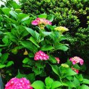 광주희망병원 이미지