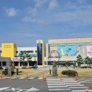 리아드 | 제주콘텐츠진흥원 도민리뷰단 제주프랑스영화제 [슈가 앤 스타] 후기
