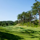 샌드파인 골프클럽 이미지