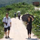 자비농장 이미지