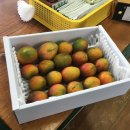 갈산목장 이미지