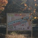 화양로 | 괴산 캠핑장 청천 써니밸리오토캠핑장 M3 사이트 1박 후기