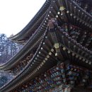 종권농장 이미지