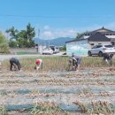 완주군 상하수도사업소 이미지