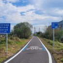 성환천 억새길 이미지