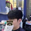 플랜헤어 | [노원 남자머리] 맨즈플랜헤어 노원점 시스루댄디컷 후기