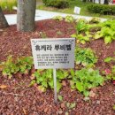도래공원 네이버블로그