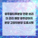 광주강아지분양 고양이분양 도로시펫 | 광주말티푸분양 전문 브리더 관리 매장 광주강아지분양 고양이분양 도로시펫