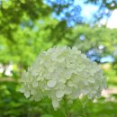 구암로32길 이미지